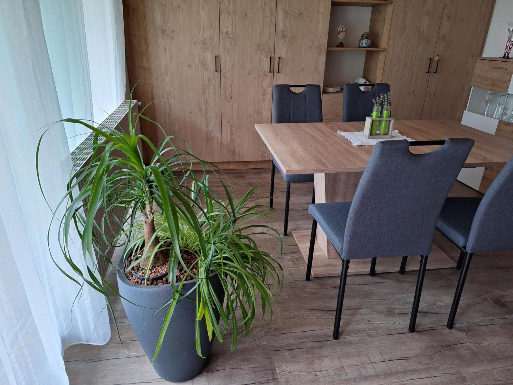 Apartment Eva 소우텐즈 외부 사진